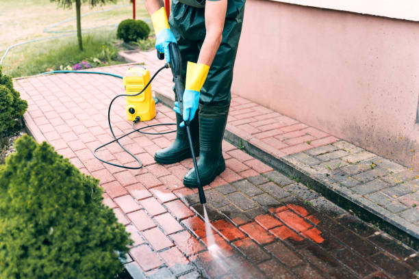 Animal Enclosure Cleaning in Rochelle, GA